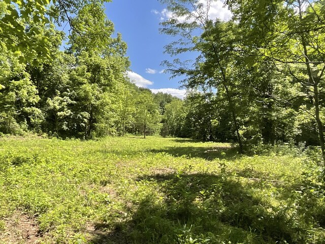3712 Budds Creek Rd, Palmyra, TN 37142