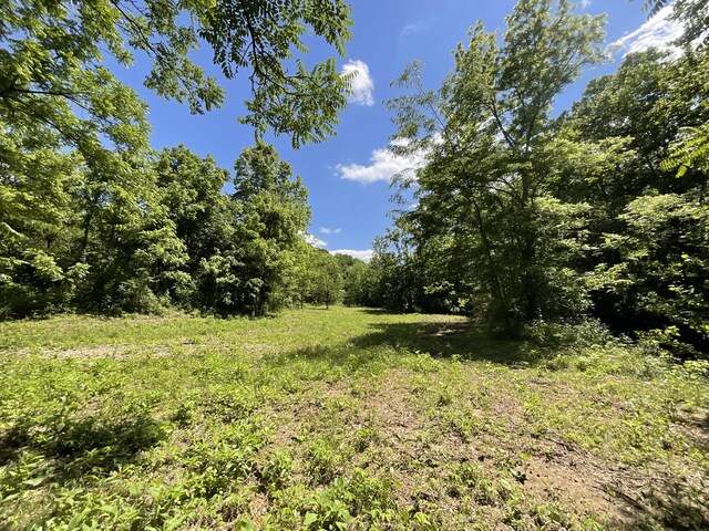 3712 Budds Creek Rd, Palmyra, TN 37142