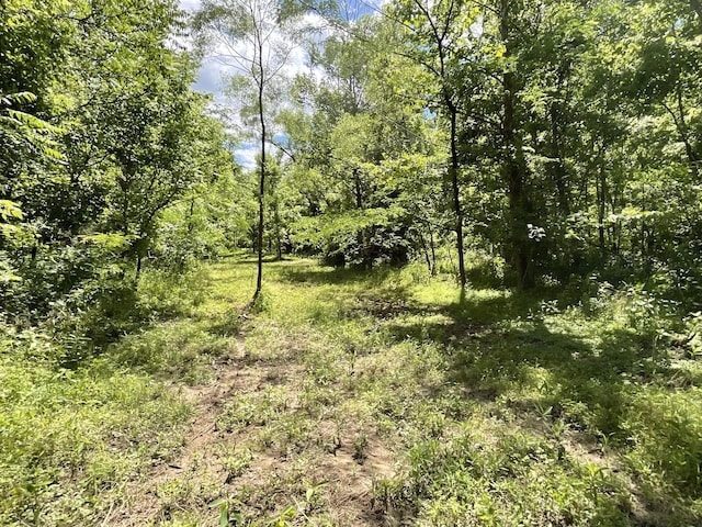 3712 Budds Creek Rd, Palmyra, TN 37142