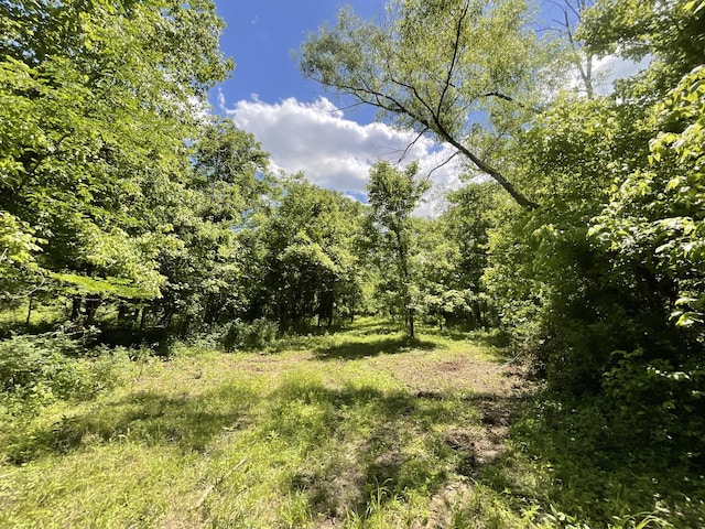 3712 Budds Creek Rd, Palmyra, TN 37142