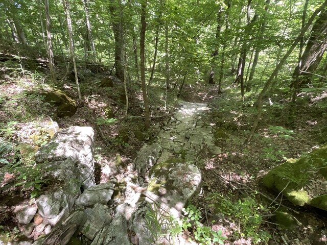3712 Budds Creek Rd, Palmyra, TN 37142