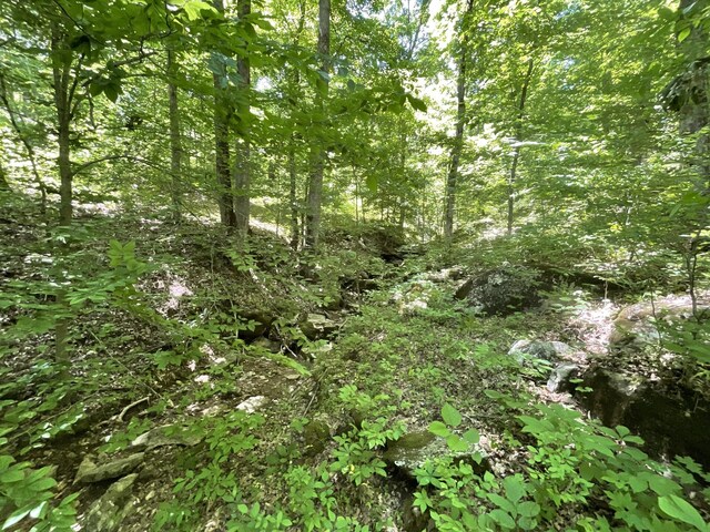 3712 Budds Creek Rd, Palmyra, TN 37142