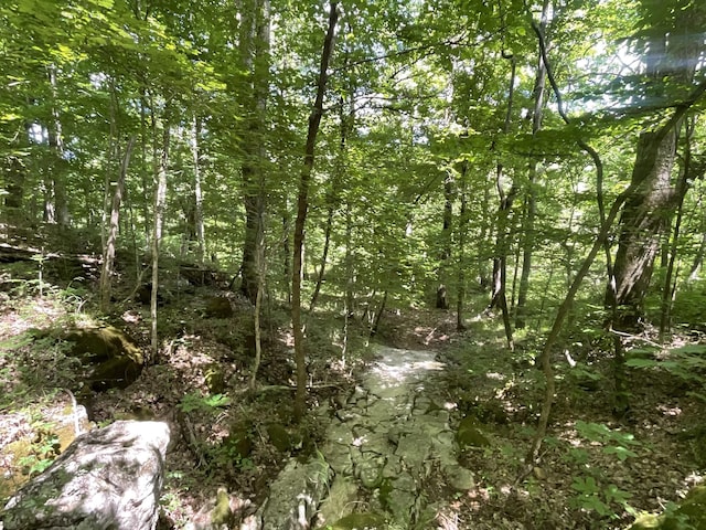 3712 Budds Creek Rd, Palmyra, TN 37142