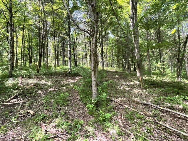 3712 Budds Creek Rd, Palmyra, TN 37142