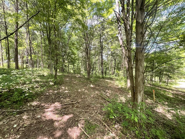 3712 Budds Creek Rd, Palmyra, TN 37142