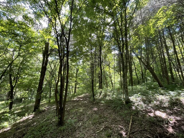 3712 Budds Creek Rd, Palmyra, TN 37142