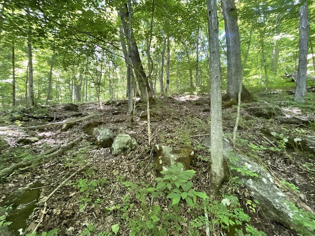 3712 Budds Creek Rd, Palmyra, TN 37142