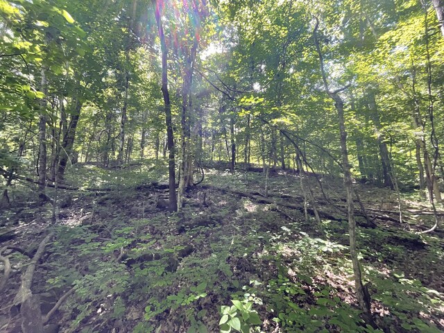 3712 Budds Creek Rd, Palmyra, TN 37142
