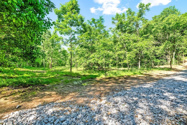 3712 Budds Creek Rd, Palmyra, TN 37142