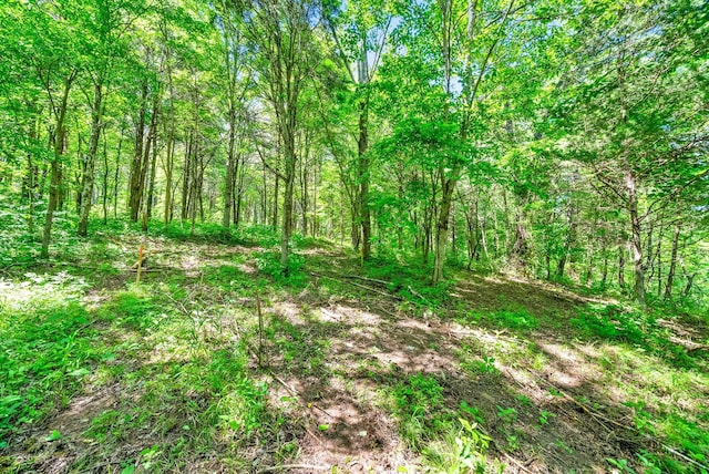 3712 Budds Creek Rd, Palmyra, TN 37142