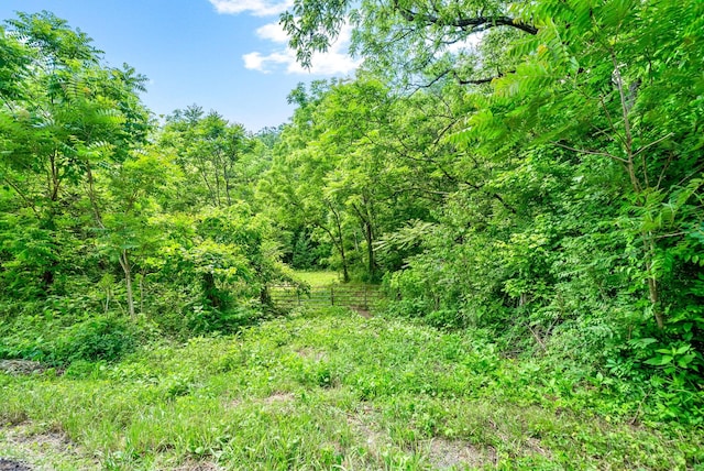 3712 Budds Creek Rd, Palmyra, TN 37142