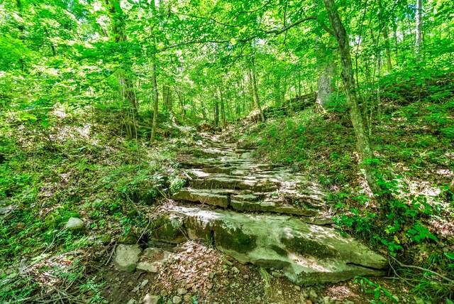 3712 Budds Creek Rd, Palmyra, TN 37142