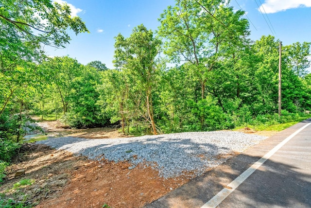 3712 Budds Creek Rd, Palmyra, TN 37142