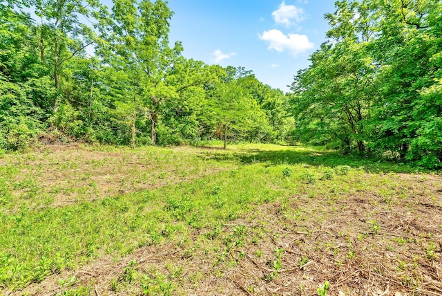 3712 Budds Creek Rd, Palmyra, TN 37142