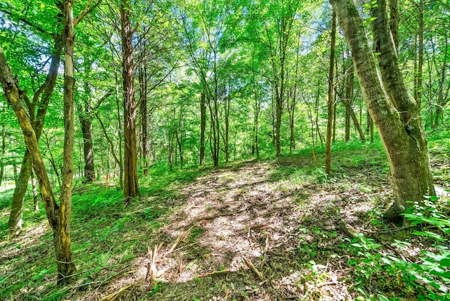 3712 Budds Creek Rd, Palmyra, TN 37142