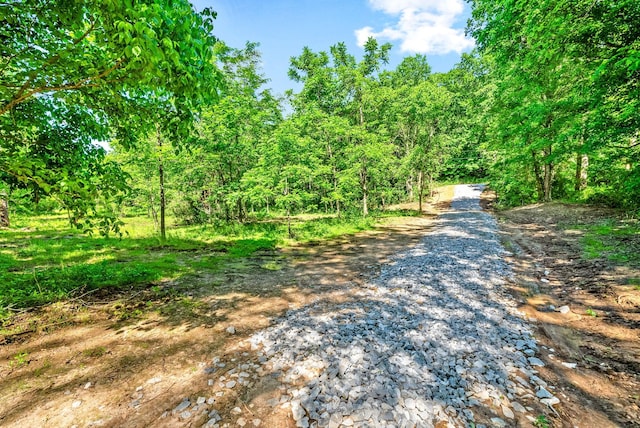3712 Budds Creek Rd, Palmyra, TN 37142