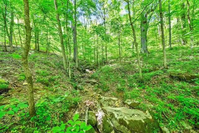 3712 Budds Creek Rd, Palmyra, TN 37142
