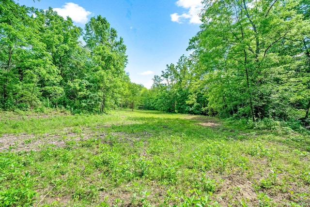 3712 Budds Creek Rd, Palmyra, TN 37142