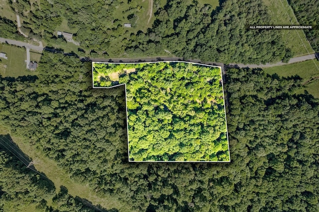 3712 Budds Creek Rd, Palmyra, TN 37142