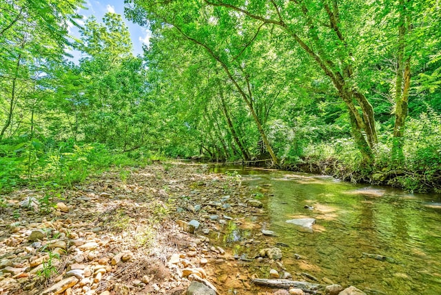 3712 Budds Creek Rd, Palmyra, TN 37142