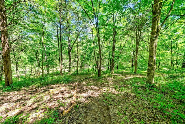 3712 Budds Creek Rd, Palmyra, TN 37142