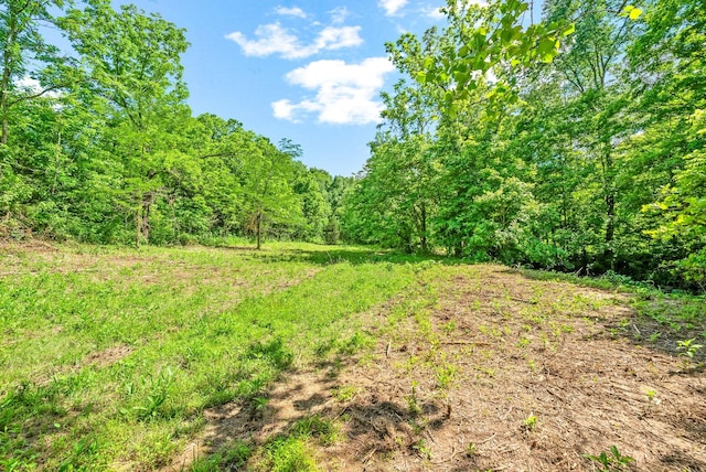 3712 Budds Creek Rd, Palmyra, TN 37142