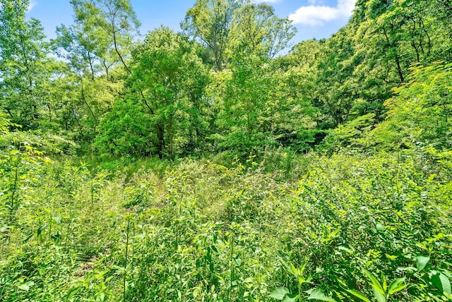 3712 Budds Creek Rd, Palmyra, TN 37142