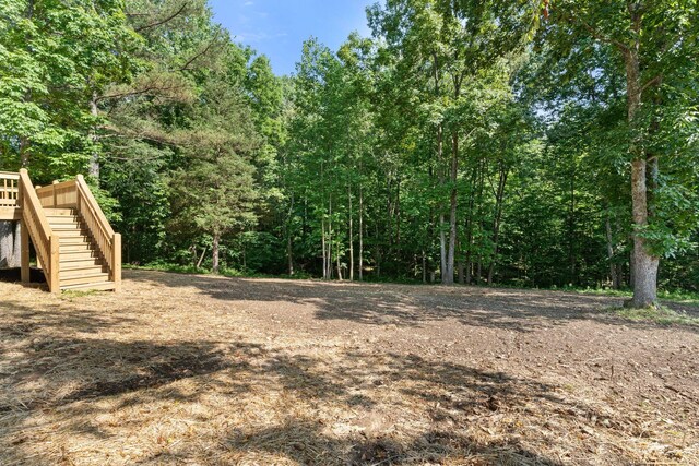 6149 Dewey Carr Rd, Bethpage, TN 37022 - view of yard with stairs