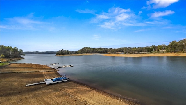 water view featuring a dock