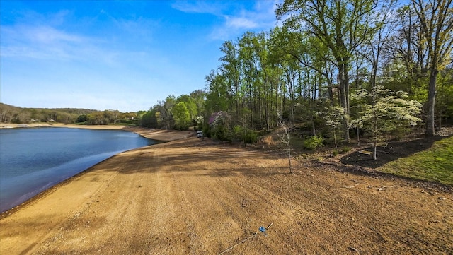 property view of water