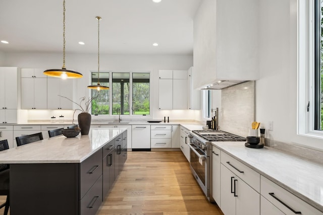 6004 Jocelyn Hollow Rd, Nashville, TN 37205 - kitchen featuring recessed lighting, plenty of natural light, stainless steel stove, and light wood-style flooring