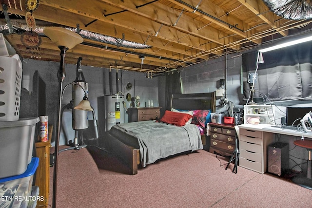 3115 Coon Hunter Lodge Rd, Jamestown, TN 38556 - bedroom featuring electric water heater and carpet floors