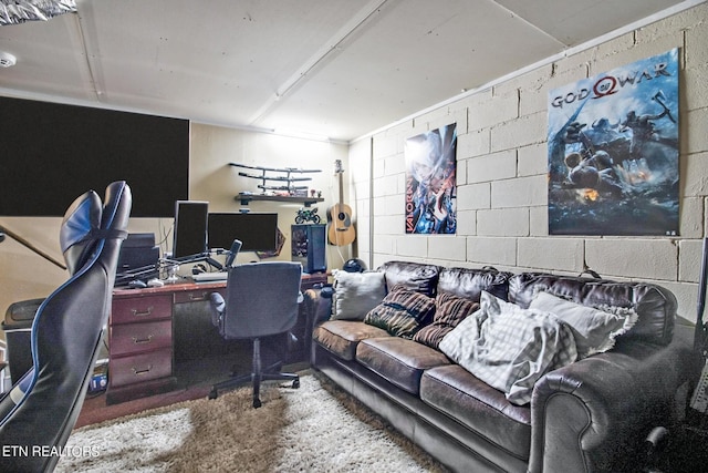 3115 Coon Hunter Lodge Rd, Jamestown, TN 38556 - office with concrete block wall