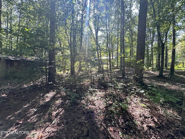 3115 Coon Hunter Lodge Rd, Jamestown, TN 38556 - view of woods