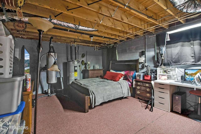 3115 Coon Hunter Lodge Rd, Jamestown, TN 38556 - bedroom featuring water heater and carpet