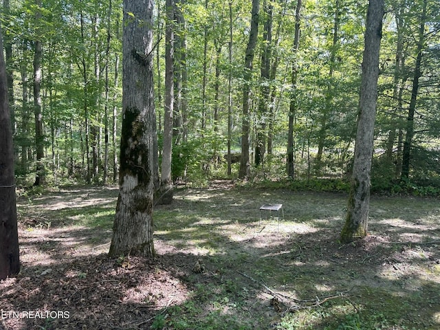 3115 Coon Hunter Lodge Rd, Jamestown, TN 38556 - view of wooded area