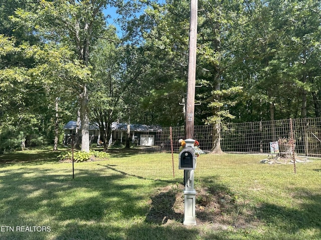 3115 Coon Hunter Lodge Rd, Jamestown, TN 38556 - view of yard