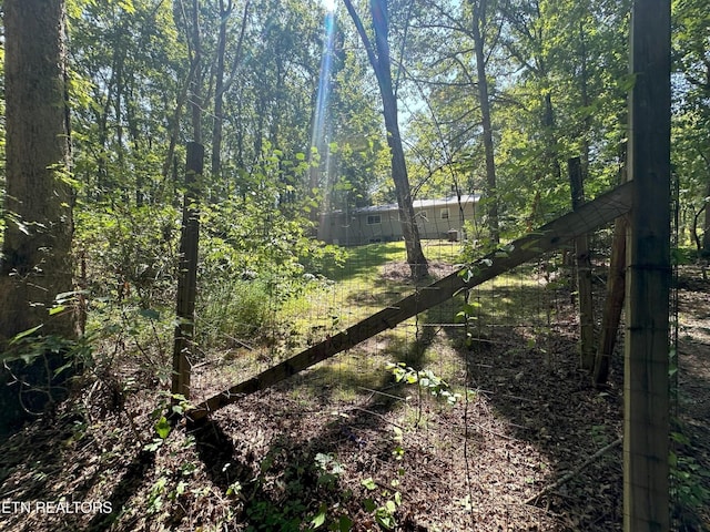 3115 Coon Hunter Lodge Rd, Jamestown, TN 38556 - view of local wilderness