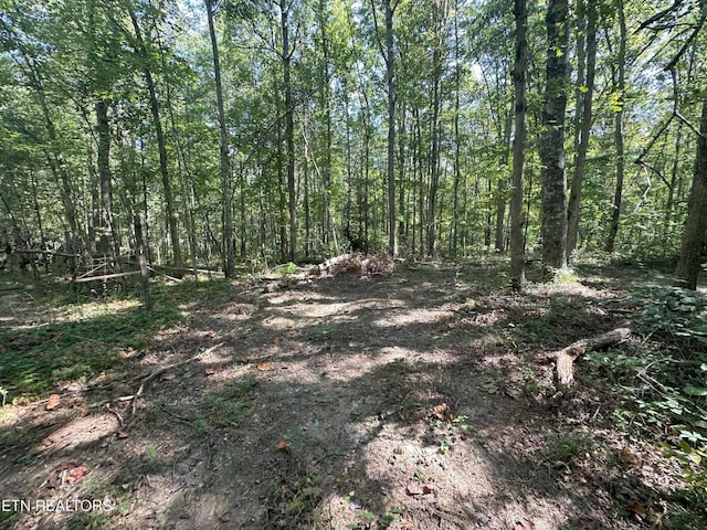 3115 Coon Hunter Lodge Rd, Jamestown, TN 38556 - view of tree filled area
