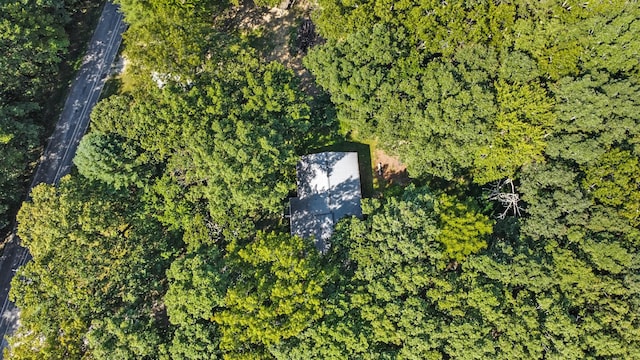 3115 Coon Hunter Lodge Rd, Jamestown, TN 38556 - aerial view