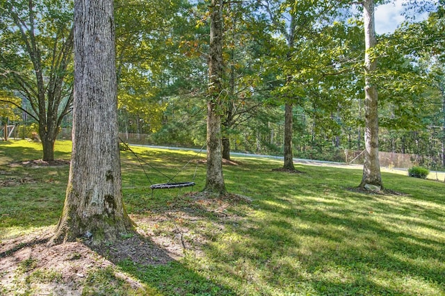 3115 Coon Hunter Lodge Rd, Jamestown, TN 38556 - view of green lawn