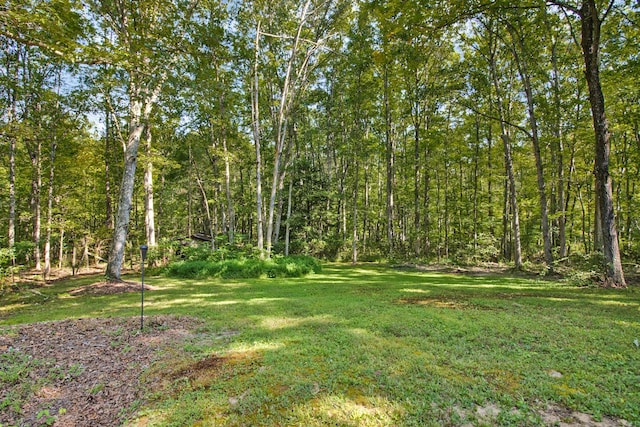 3115 Coon Hunter Lodge Rd, Jamestown, TN 38556 - view of green lawn