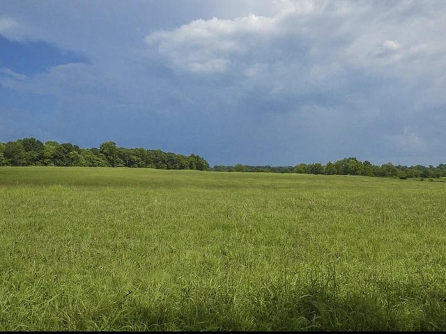 2901 Hurricane Creek Rd, Lawrenceburg, TN 38464 - view of local wilderness featuring a rural view