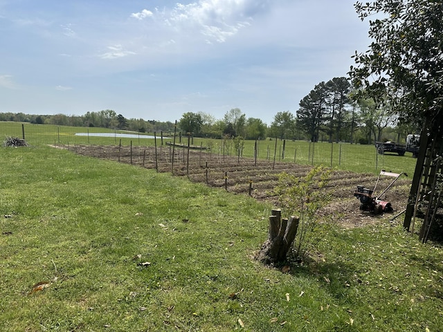 2901 Hurricane Creek Rd, Lawrenceburg, TN 38464 - view of yard featuring fence, a rural view, and a vegetable garden