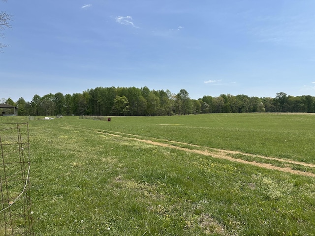 2901 Hurricane Creek Rd, Lawrenceburg, TN 38464 - view of yard featuring a rural view