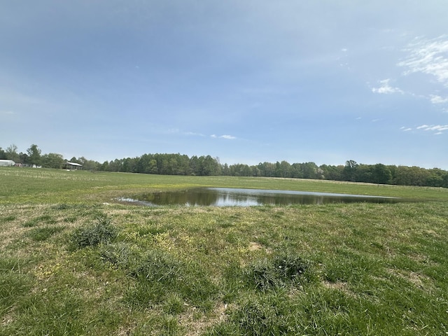 2901 Hurricane Creek Rd, Lawrenceburg, TN 38464 - water view