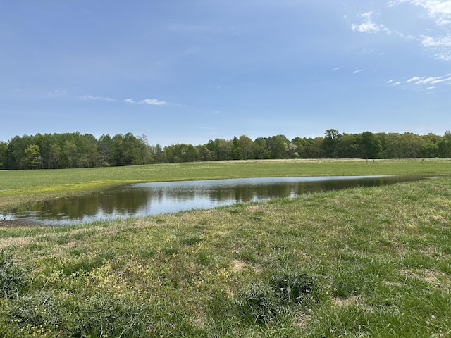 2901 Hurricane Creek Rd, Lawrenceburg, TN 38464 - water view with a view of trees