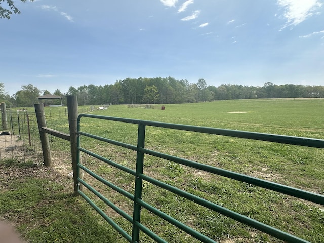 2901 Hurricane Creek Rd, Lawrenceburg, TN 38464 - view of gate featuring a lawn and a rural view