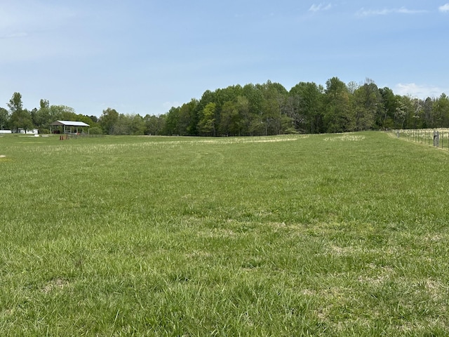 2901 Hurricane Creek Rd, Lawrenceburg, TN 38464 - view of yard with fence
