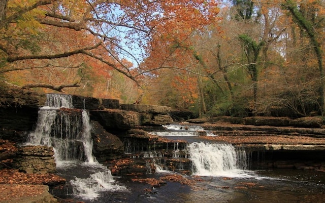 view of water feature featuring a forest view